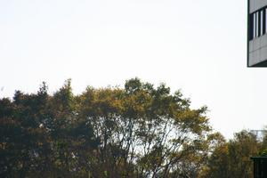 28-300mm テレ端