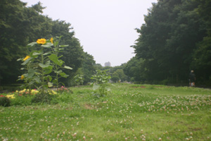 F5.6