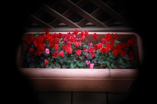 EOS 5D markII + HL-C(BC)